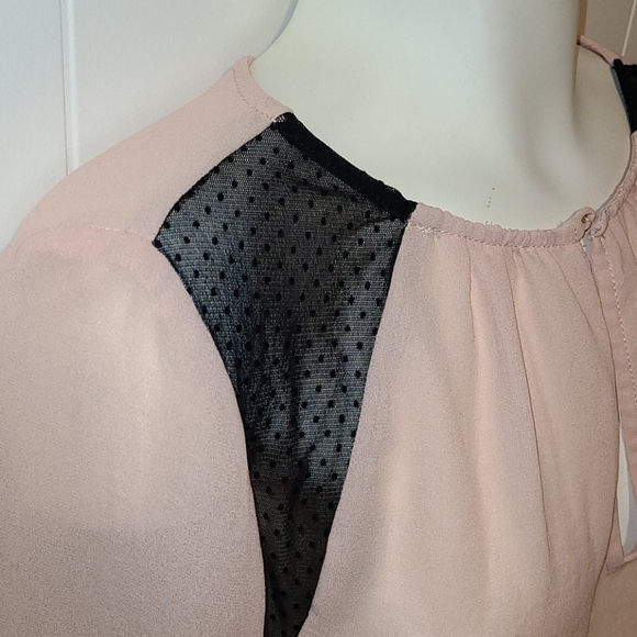 🪷Zara Basic Blush Blouse with Lace - Picture 2 of 14